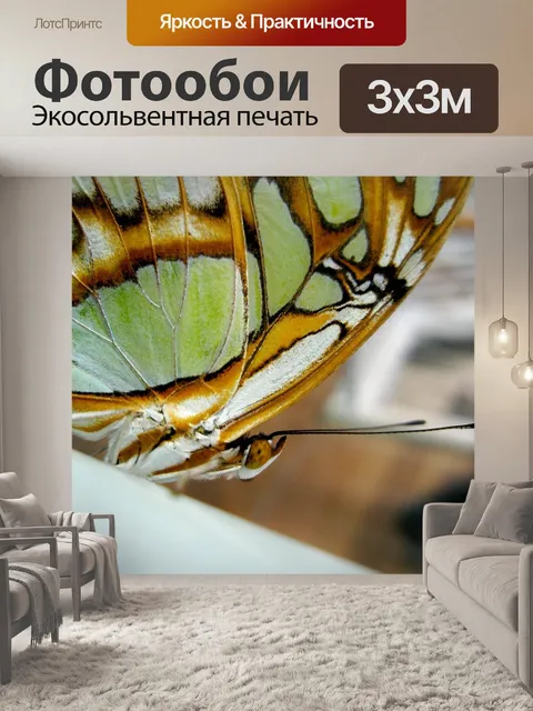 Фотообои Бабочка