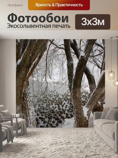Фотообои Город