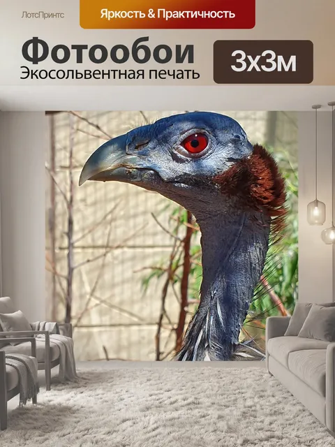 Фотообои Птица