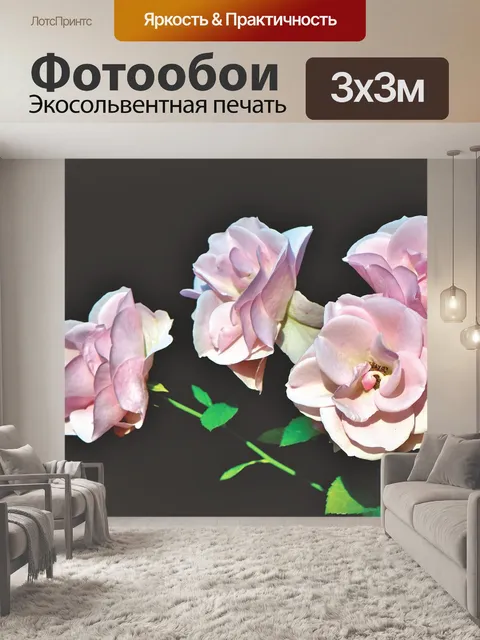 Фотообои Розы