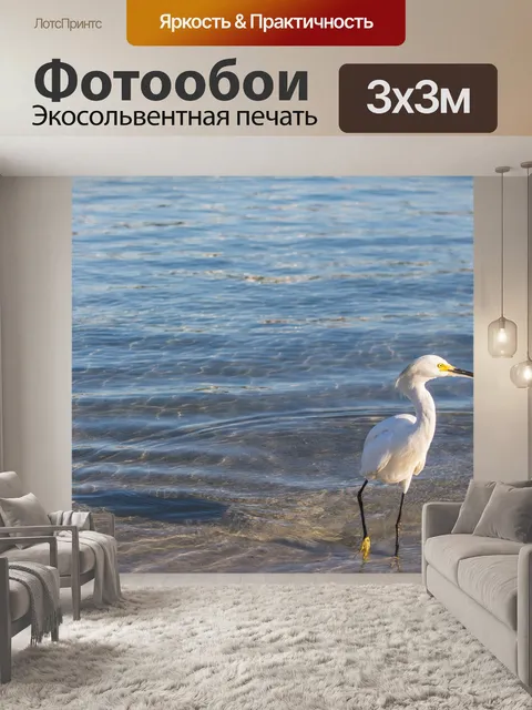 Фотообои Птица