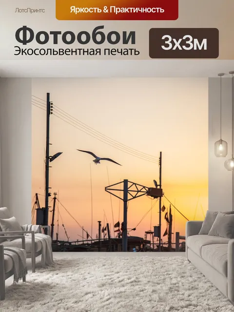 Фотообои Чайка