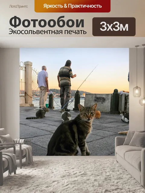Фотообои Кошки