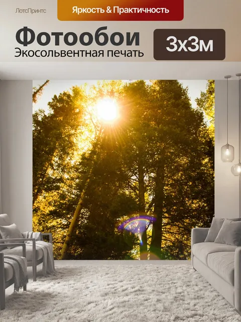 Фотообои Солнечные лучи