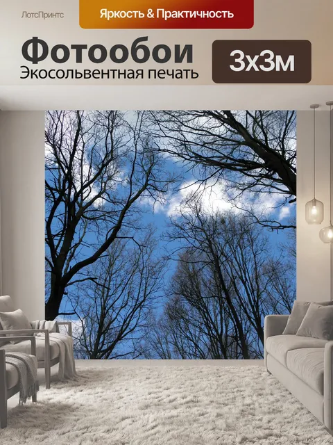 Фотообои Деревья