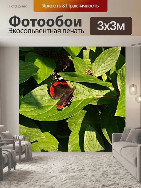 Фотообои Бабочка