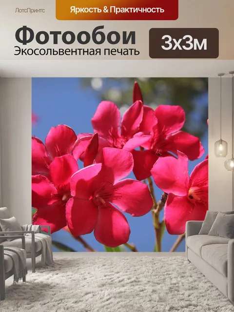 Фотообои Цветы