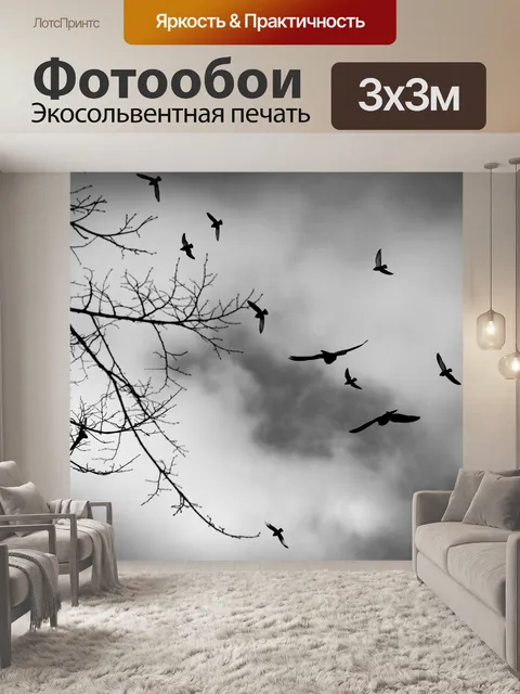 Фотообои Птицы летают