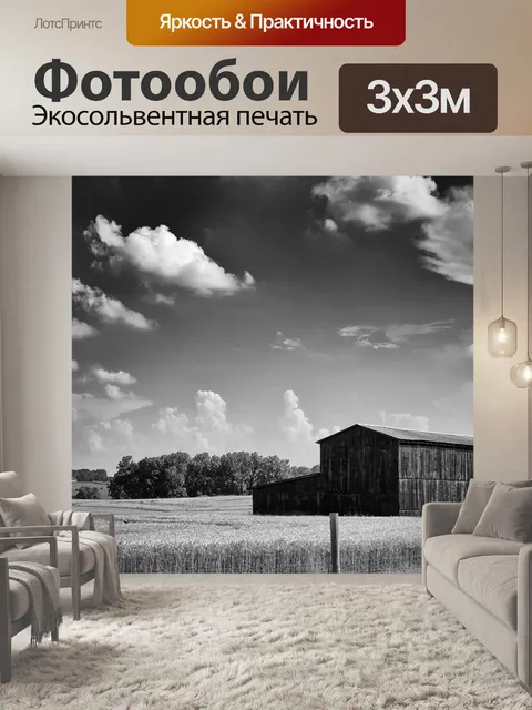 Фотообои Монохромный