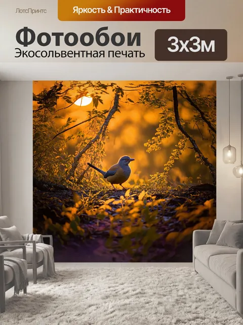 Фотообои у вечернего заката киви