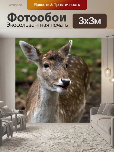 Фотообои Олень