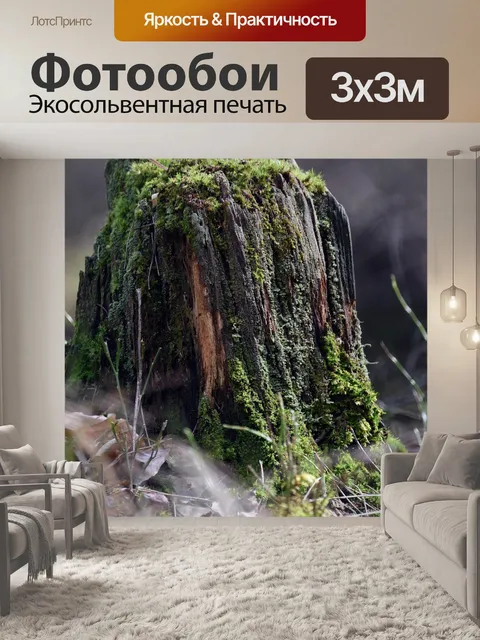 Фотообои Мох