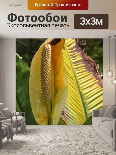 Фотообои фрукты внутри вкусного монстра
