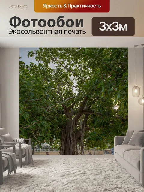 Фотообои Красивое зеленое дерево
