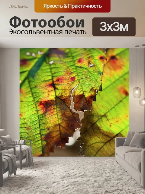 Фотообои Макрос