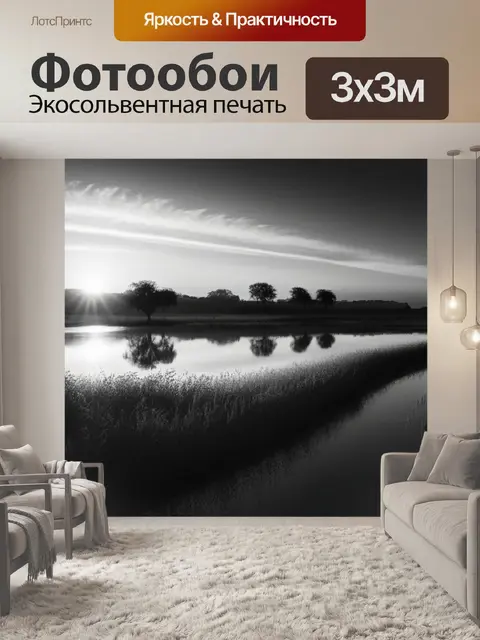 Фотообои пейзаж с закатом легко чернобелый