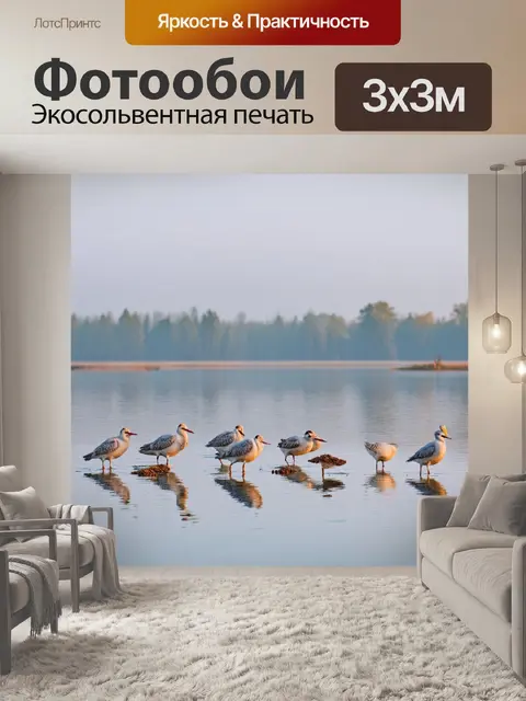 Фотообои утреннее спокойствие у озера, где различные птицы кормятся на воде, отражая утренний свет