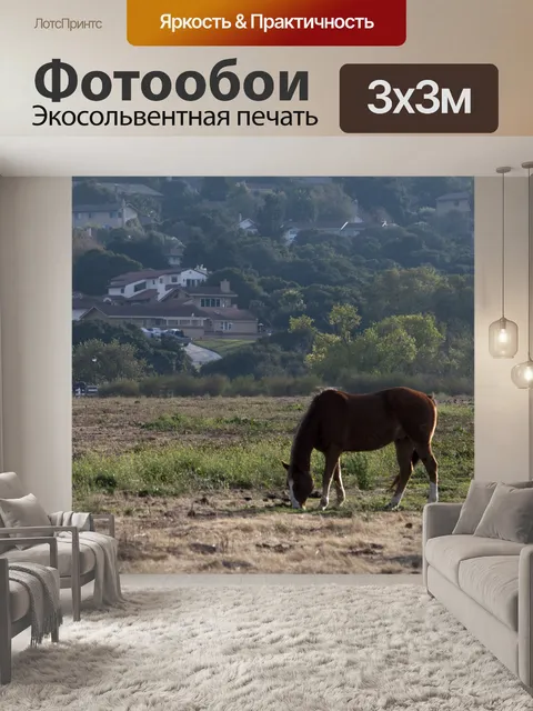 Фотообои Выпас лошадей