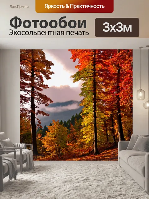 Фотообои осенний лес с ярко окрашенными листьями, где высокие деревья обрамляют вид на горы, покрытые облаками
