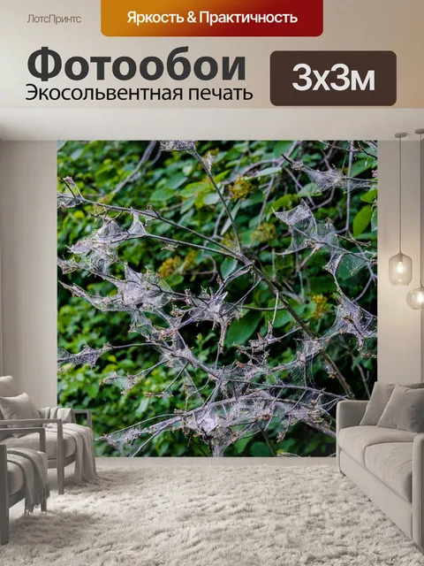 Фотообои Дерево