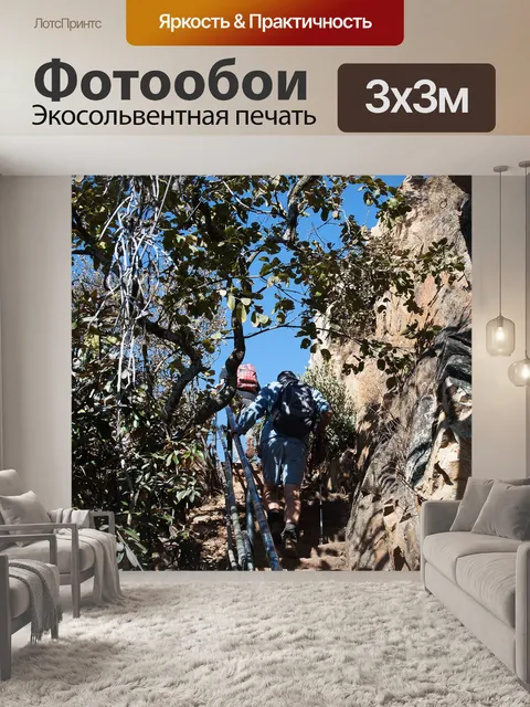 Фотообои туристы на склоне горы