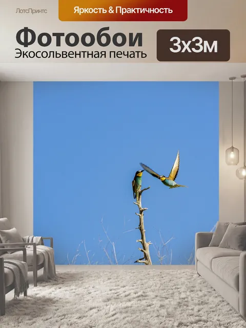 Фотообои Птица