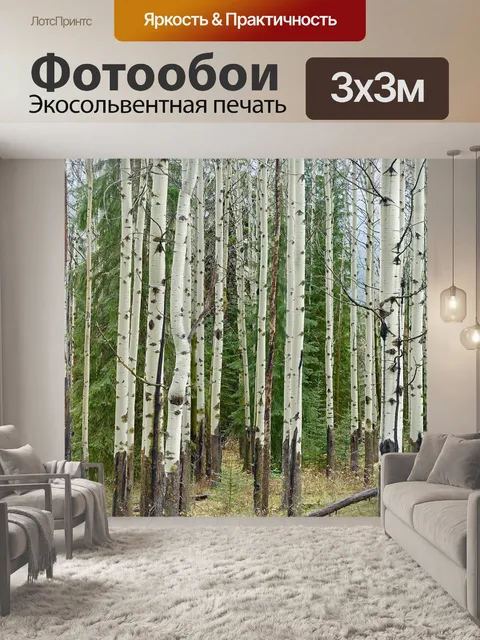 Фотообои Березы