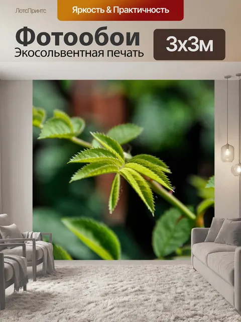 Фотообои Лист