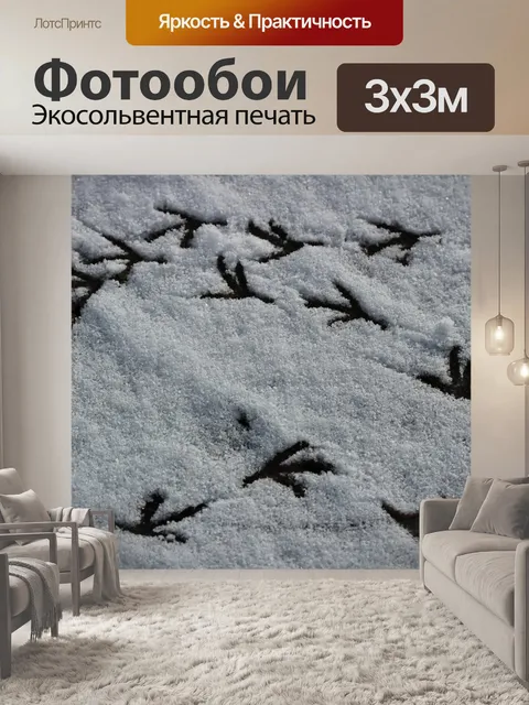 Фотообои Зима