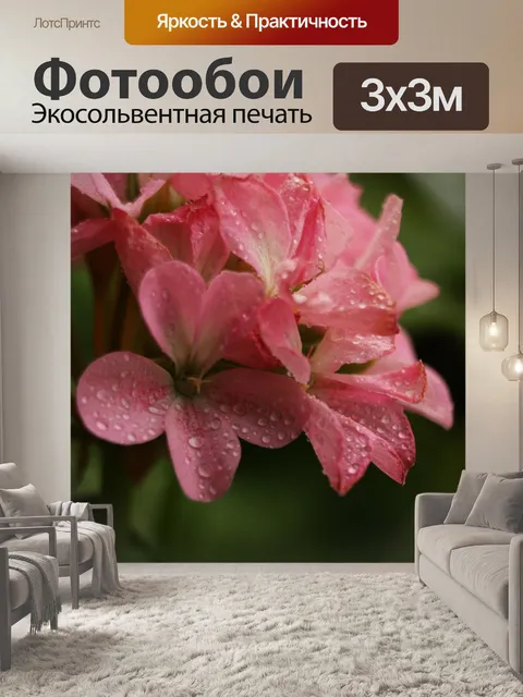 Фотообои Цветы
