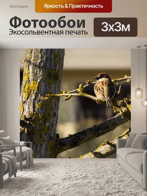 Фотообои Птица