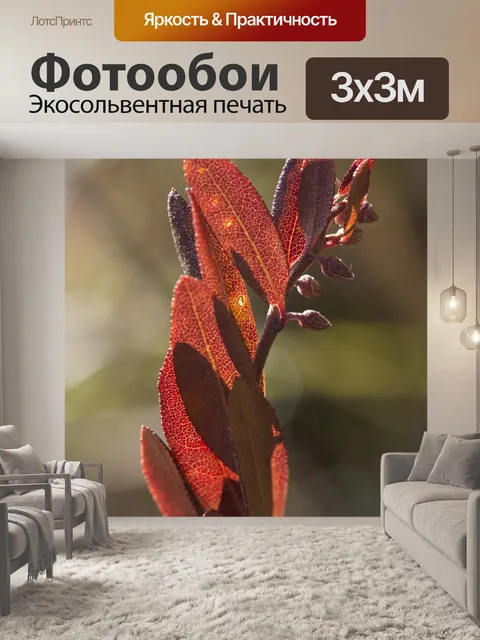 Фотообои Природа
