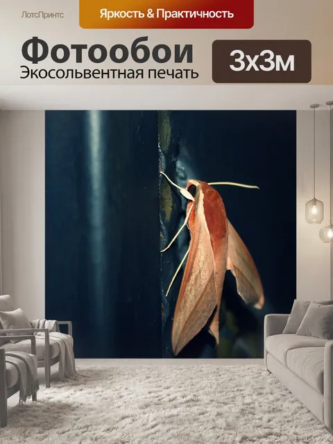 Фотообои Бабочка