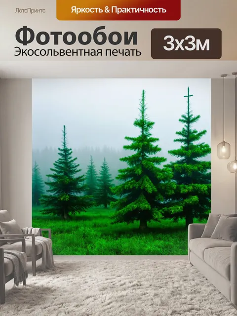 Фотообои вечнозеленые деревья в тумане