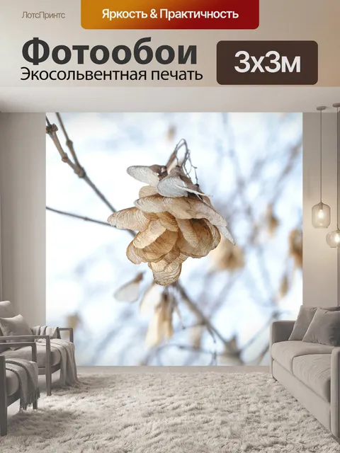 Фотообои Цветы