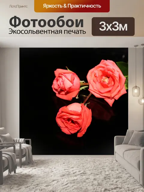 Фотообои три оранжевых роз