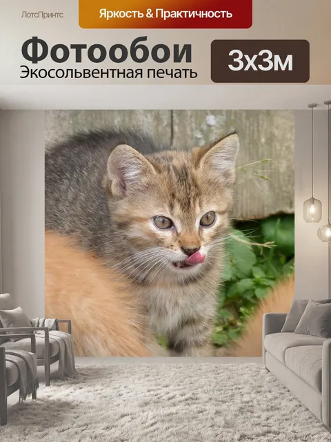 Фотообои Малые