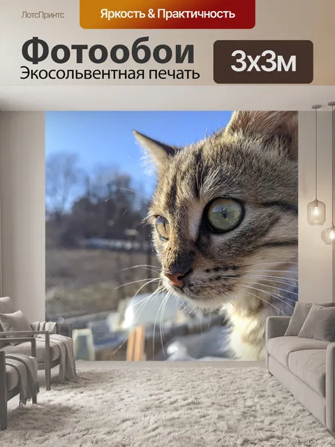 Фотообои Кошка