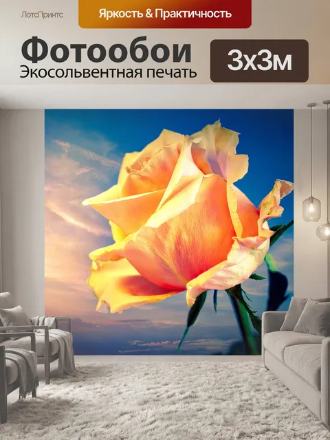 Фотообои Роза