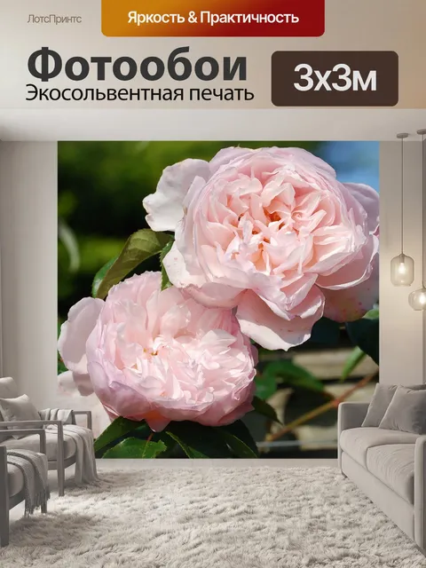 Фотообои Розы