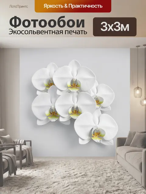 Фотообои Белые орхидеи с желтыми сердцевинами