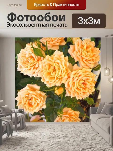 Фотообои Расцветает