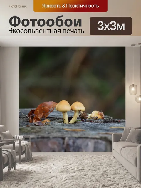 Фотообои Грибы