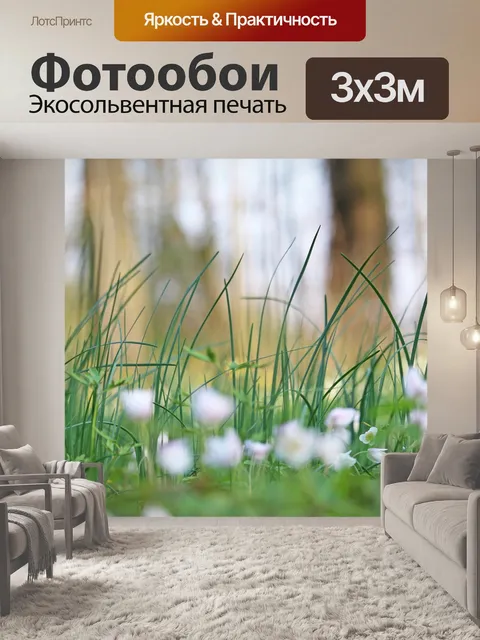 Фотообои Древесные анемоны