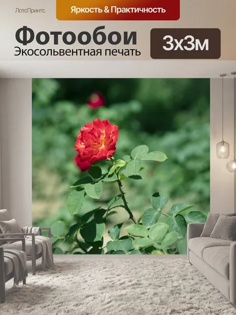 Фотообои Цветок