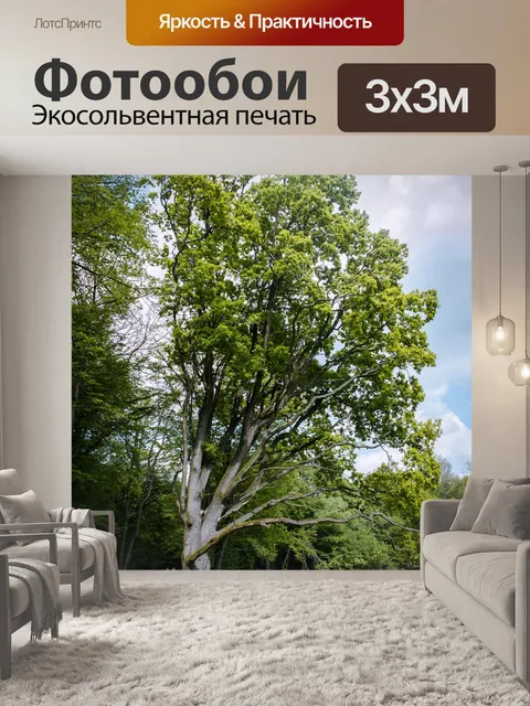 Фотообои Лес