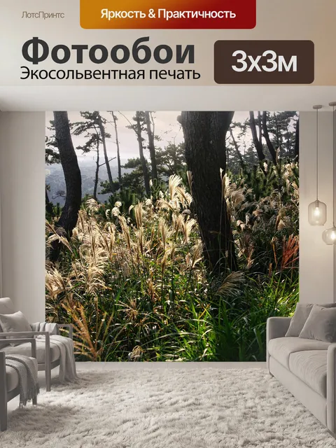 Фотообои Рид
