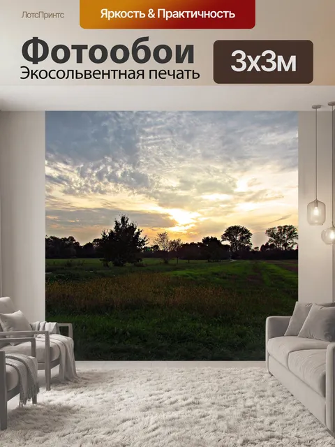 Фотообои Поле