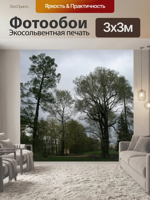 Фотообои деревья в саду в Царском Селе