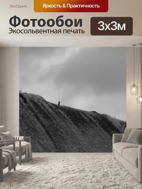 Фотообои Гуси